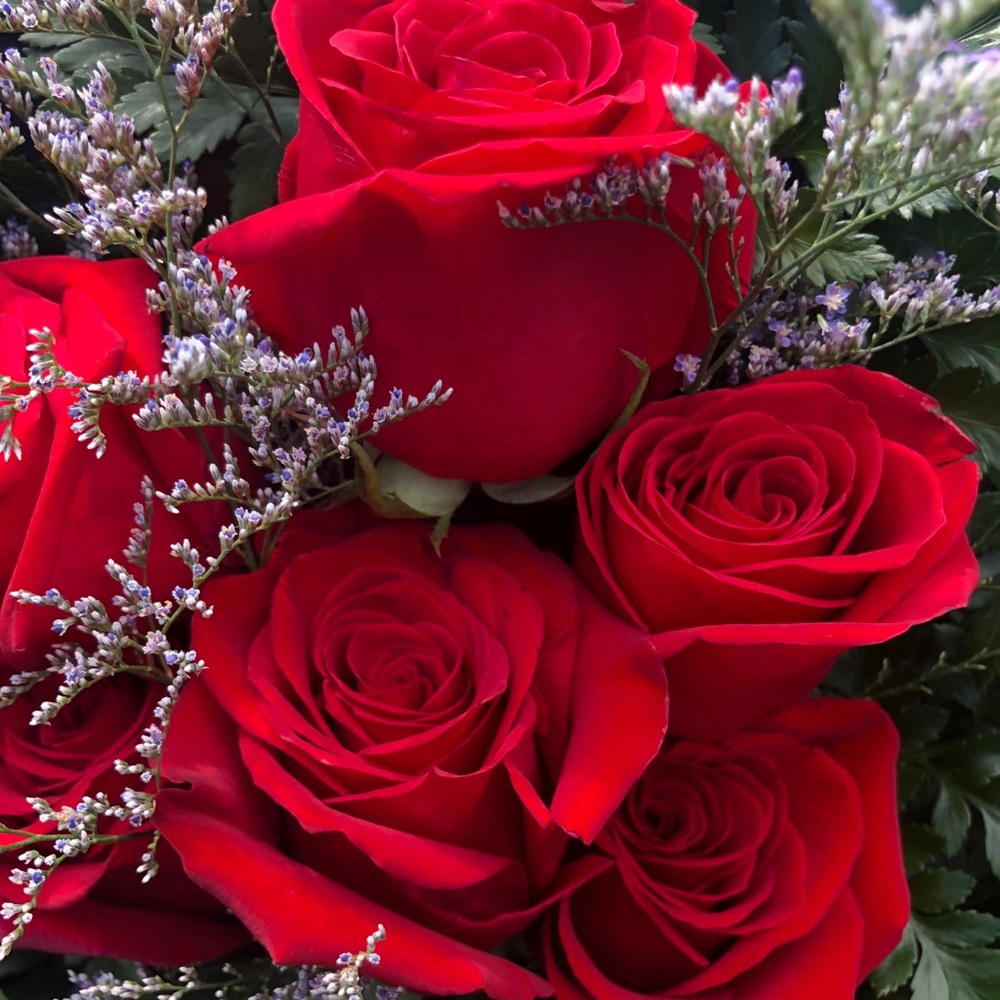 Meet your Posher, Christina